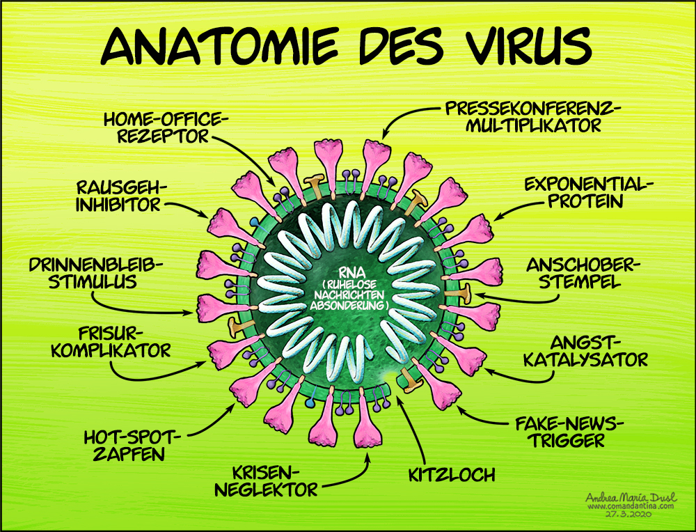 Anatomie eines Virus