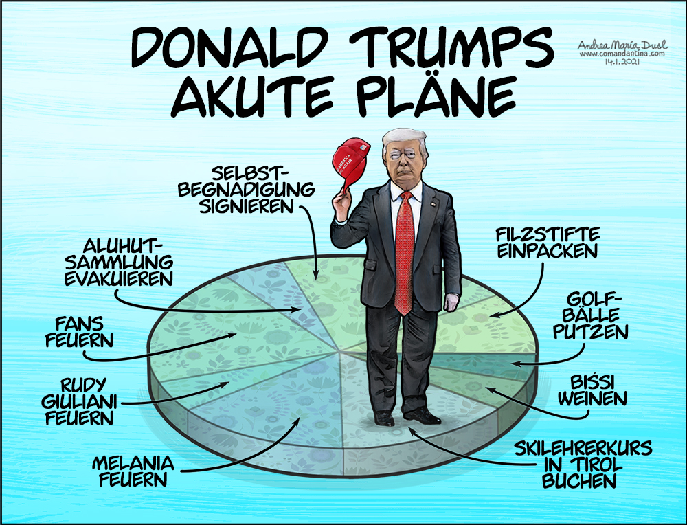 Donald Trumps akute Pläne