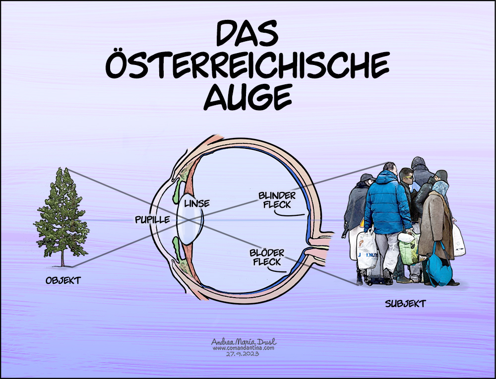 Das österreichische Auge